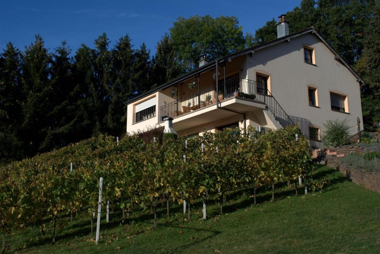 Апартаменты Casavitis Erholung Am Weinberg Lontzen Экстерьер фото